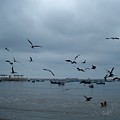 Puerto Lopez 2015